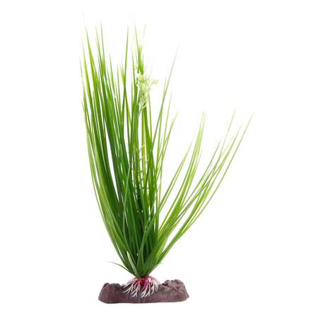 Растение PennPlax Hairgrass с грузом 27см Зеленое P16LH