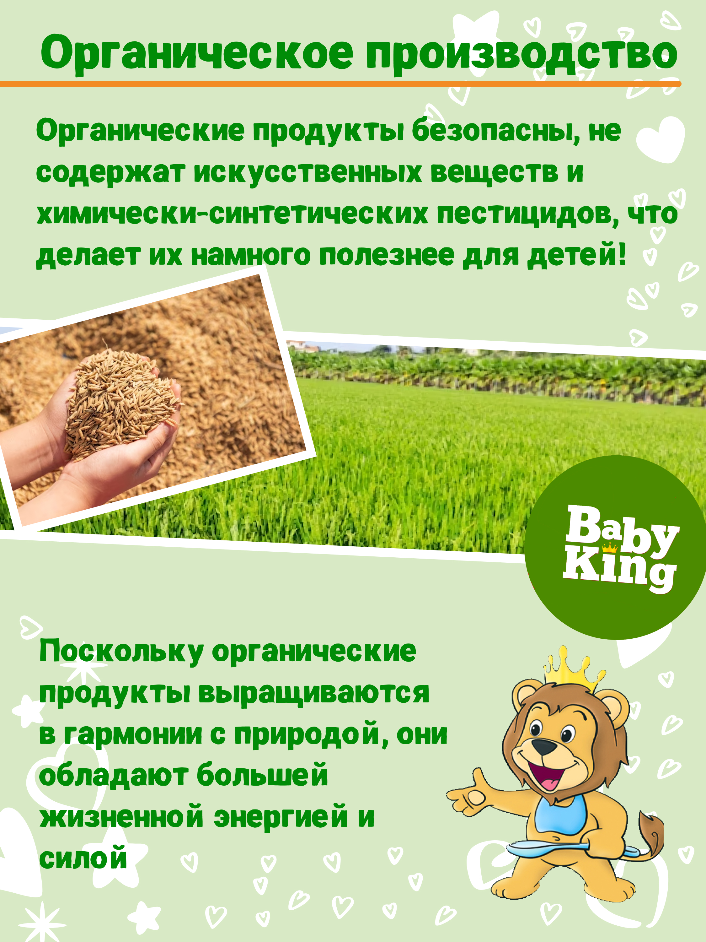 Каша детская Baby King Organic безмолочная рисовая 175гр с 4 месяцев - фото 6