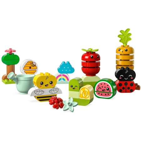 Конструктор LEGO DUPLO Organic Garden 10984