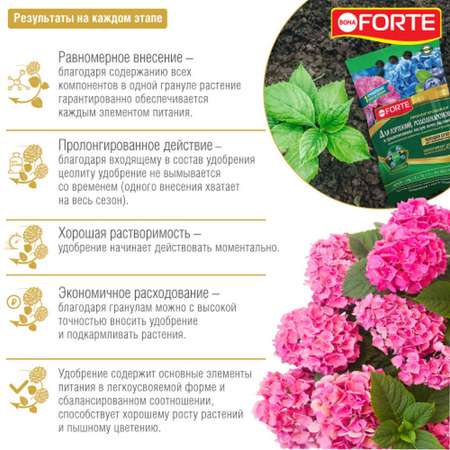 Удобрение Bona Forte для гортензий рододендронов и других кустарников с биодоступным кремнием 2.5 кг
