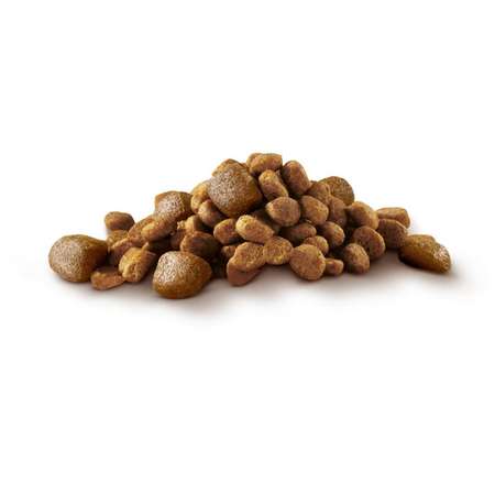 Корм для собак Purina One Mini активных мелких пород курица-рис 1.5кг