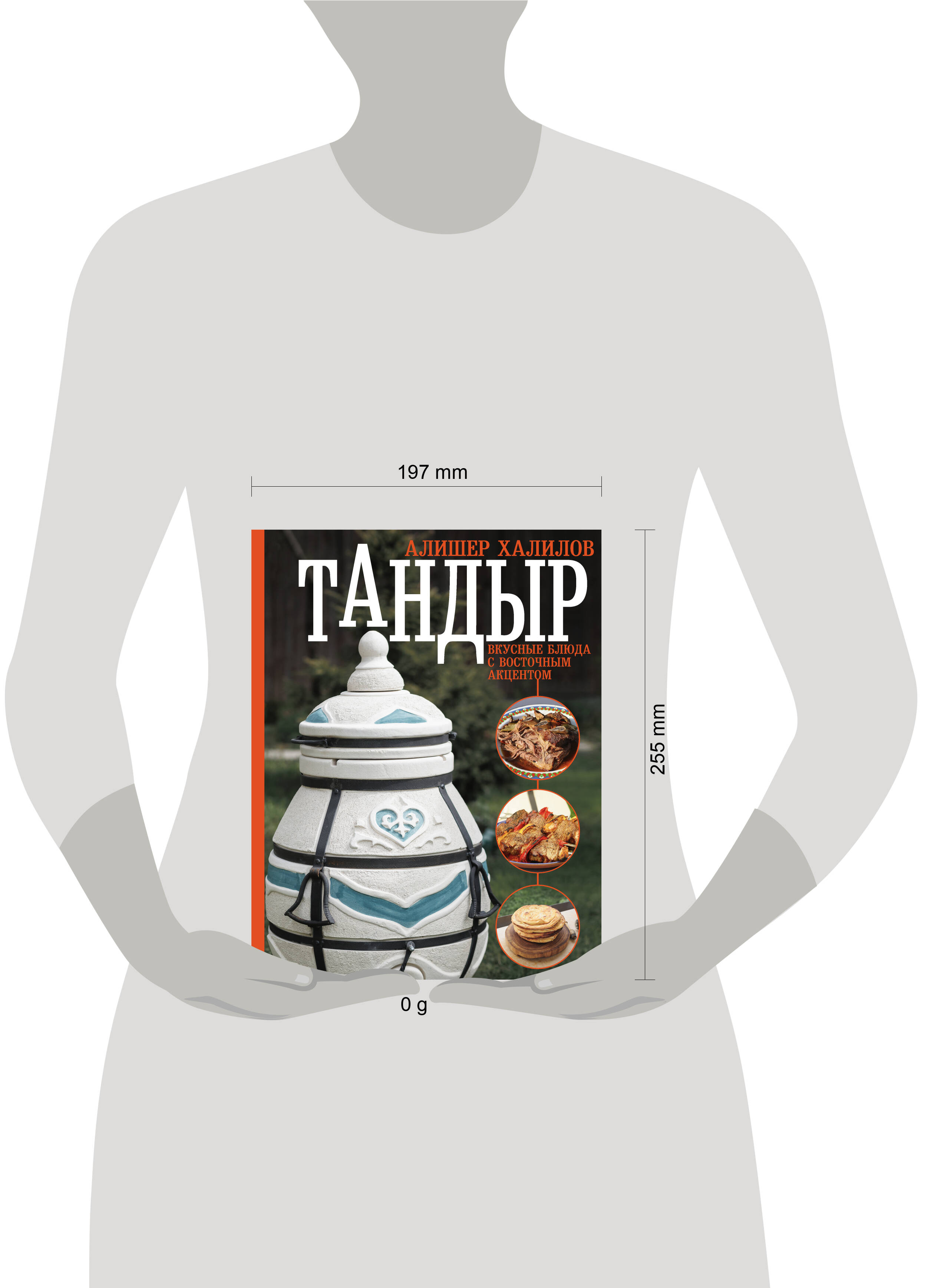 Книги АСТ Тандыр. Вкусные блюда с восточным акцентом купить по цене 1356 ₽  в интернет-магазине Детский мир