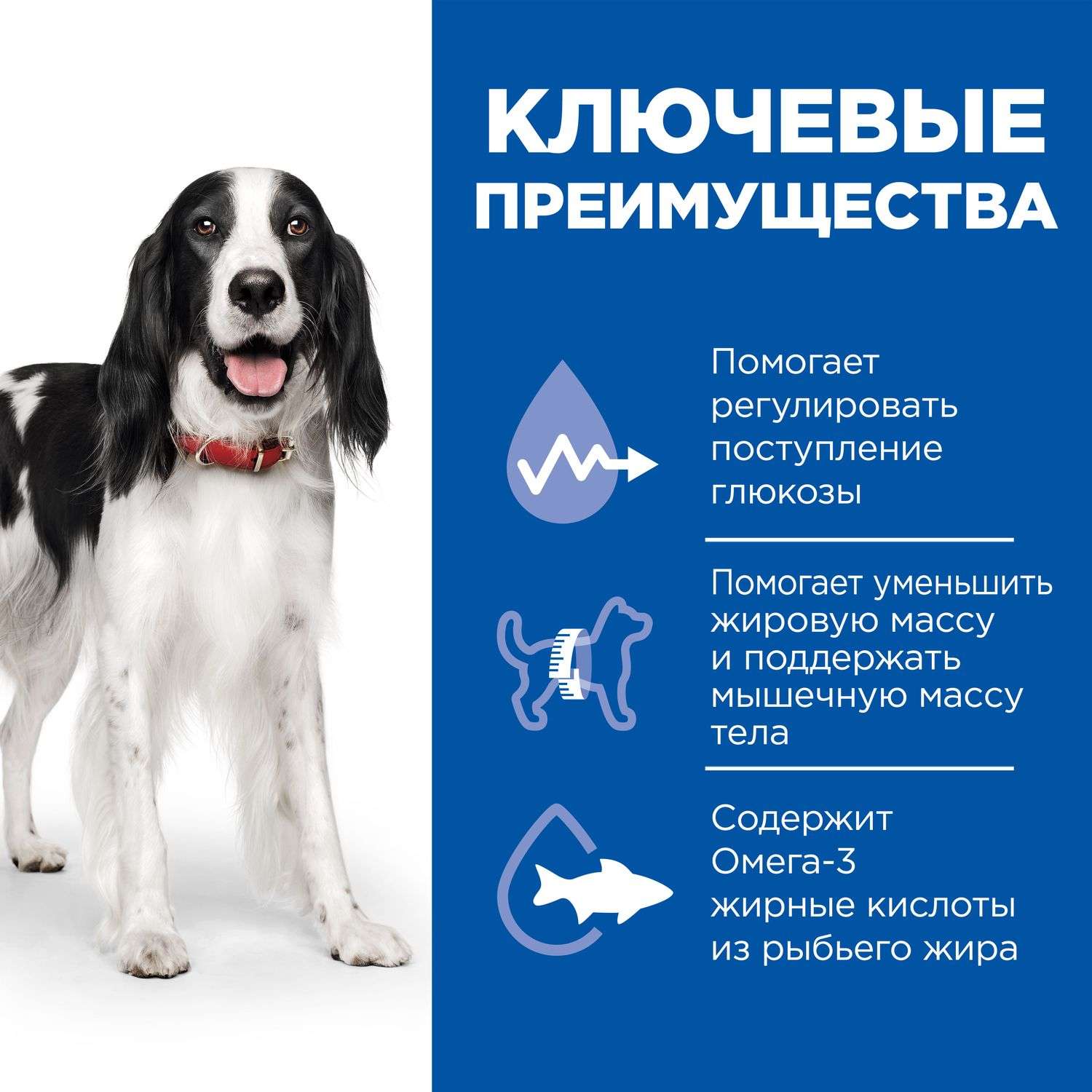 Корм для собак HILLS 1.5кг Prescription Diet w/d Digestive/Weight Management при диабете с курицей сухой - фото 6