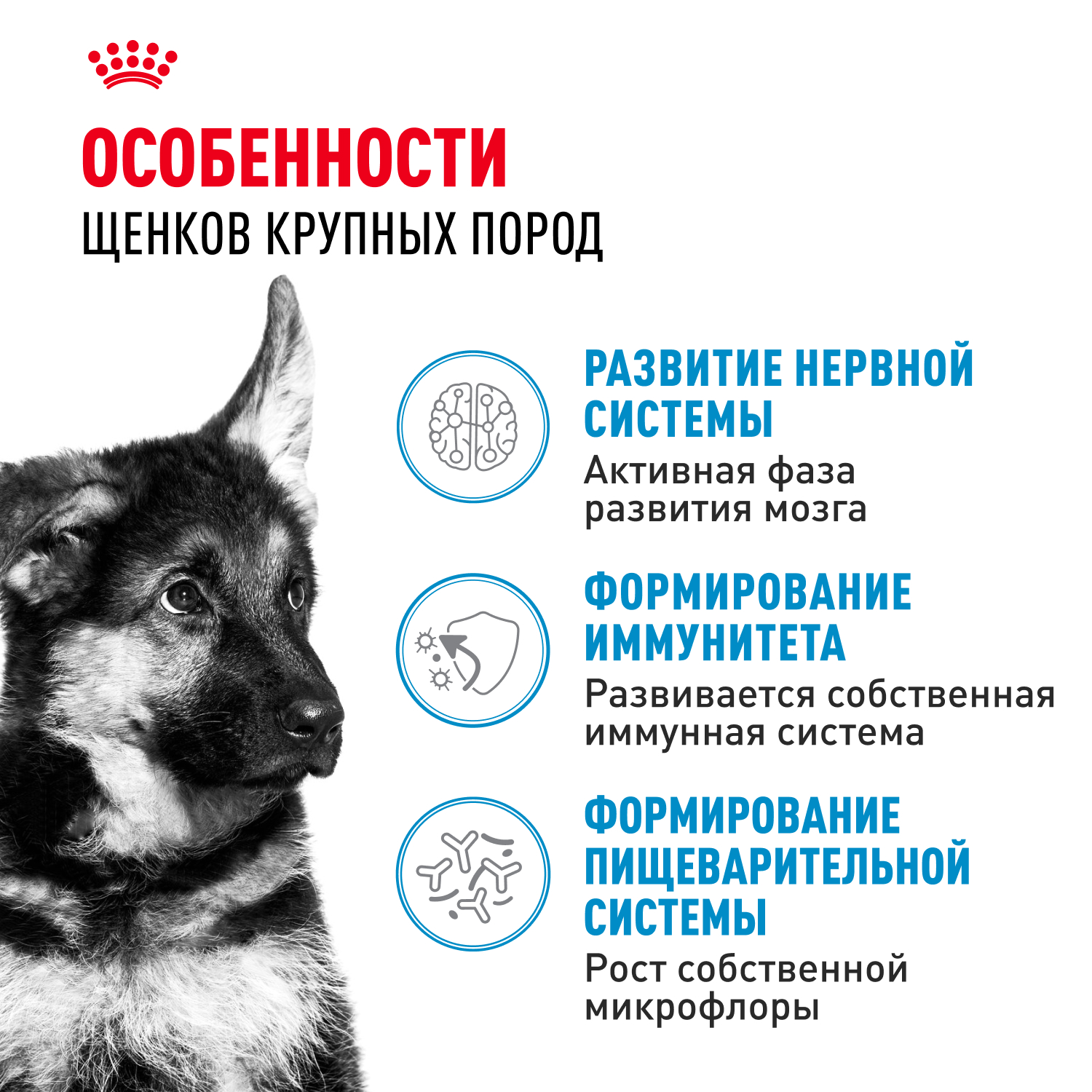 Корм для щенков ROYAL CANIN Puppy крупных пород 15кг - фото 3