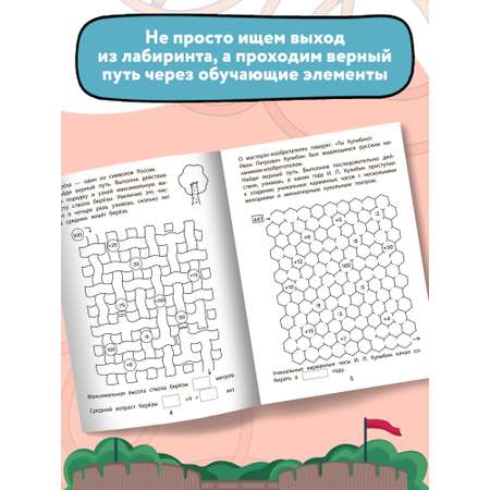 Книга Феникс Обучающие лабиринты. Умножение и деление: 9-10 лет