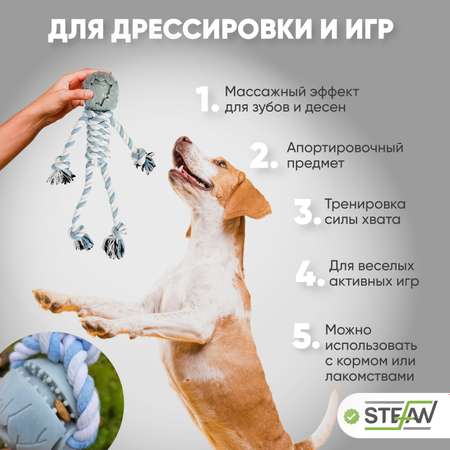 Игрушка для собак Stefan мяч на канате Человечек размер 6.5х32х34