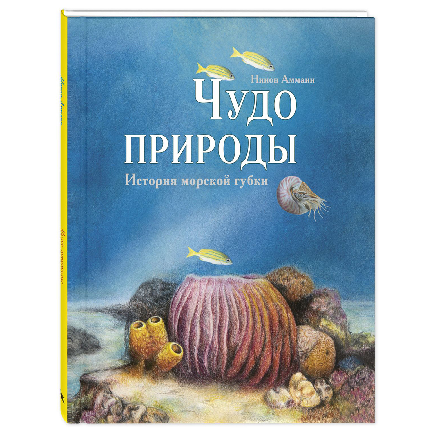 Книга Издательство Энас-книга Чудо природы История морской губки - фото 1