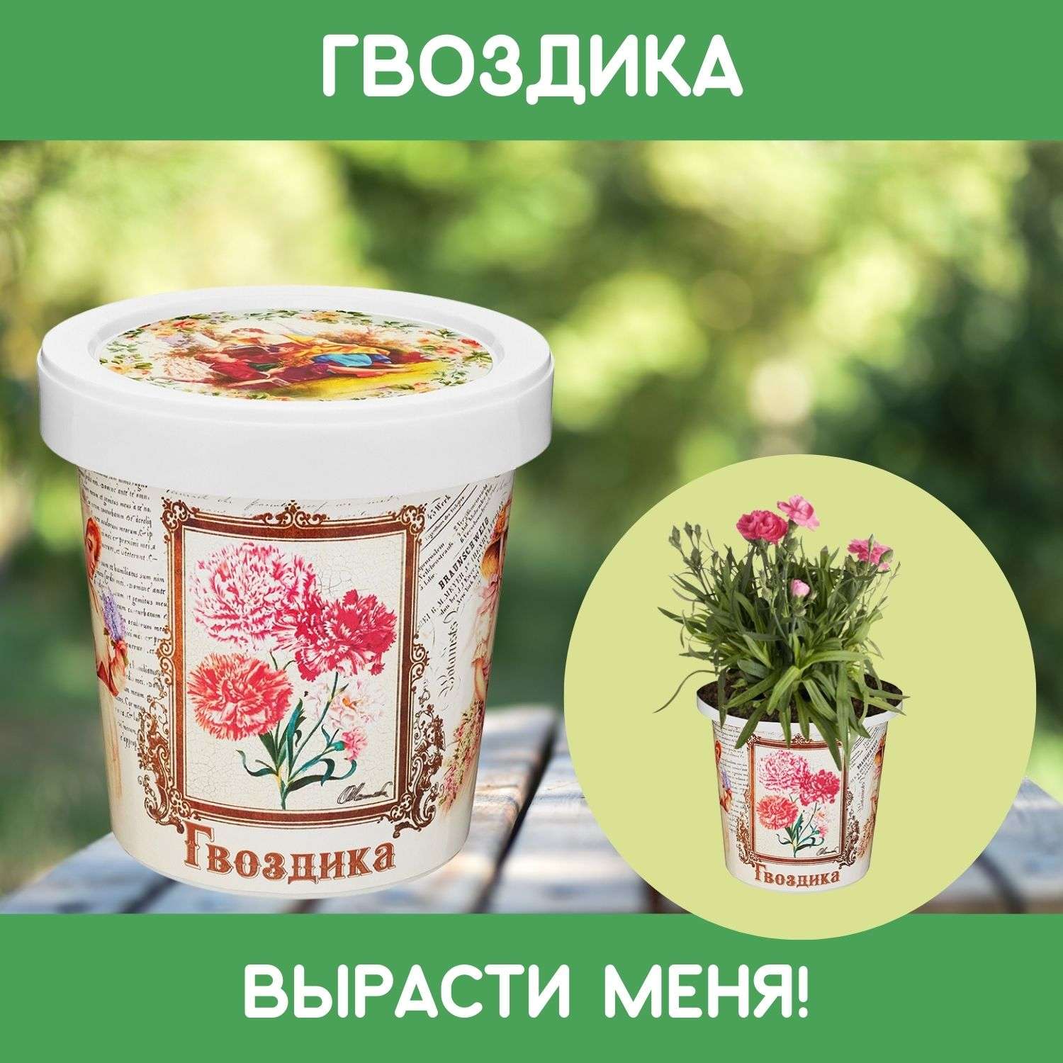 Набор для выращивания растений Rostok Visa Вырасти сам цветок Гвоздика в подарочном горшке - фото 1