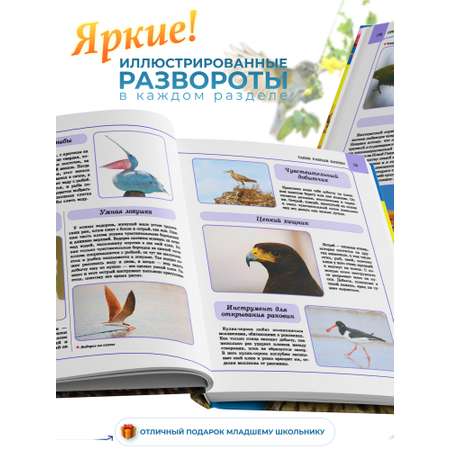 Книга Харвест Книга большая Энциклопедия для детей школьников Птицы для чтения с иллюстрациями