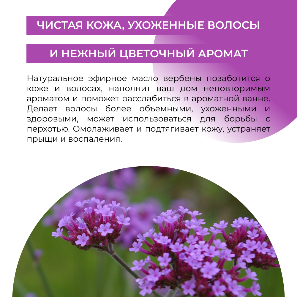Эфирное масло Siberina натуральное «Вербены» для тела и ароматерапии 8 мл - фото 5