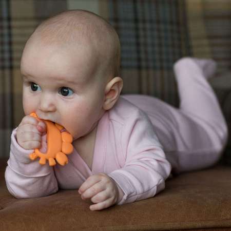 Прорезыватель BABOO