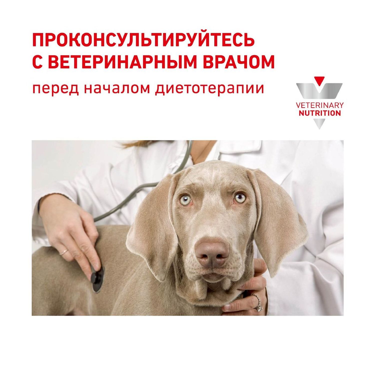 Корм для собак ROYAL CANIN Cardiac EC26 при сердечной недостаточности 2кг - фото 9