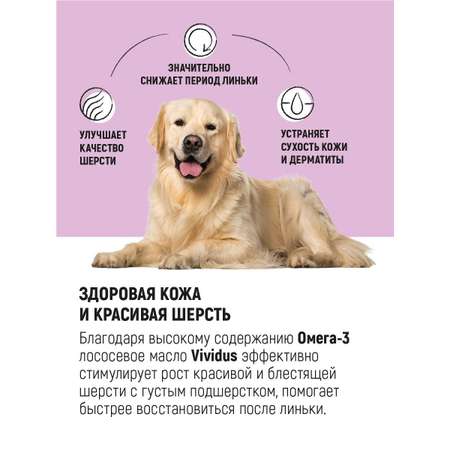 Лососевое масло Vividus Омега-3 для собак и кошек 0,5 л.