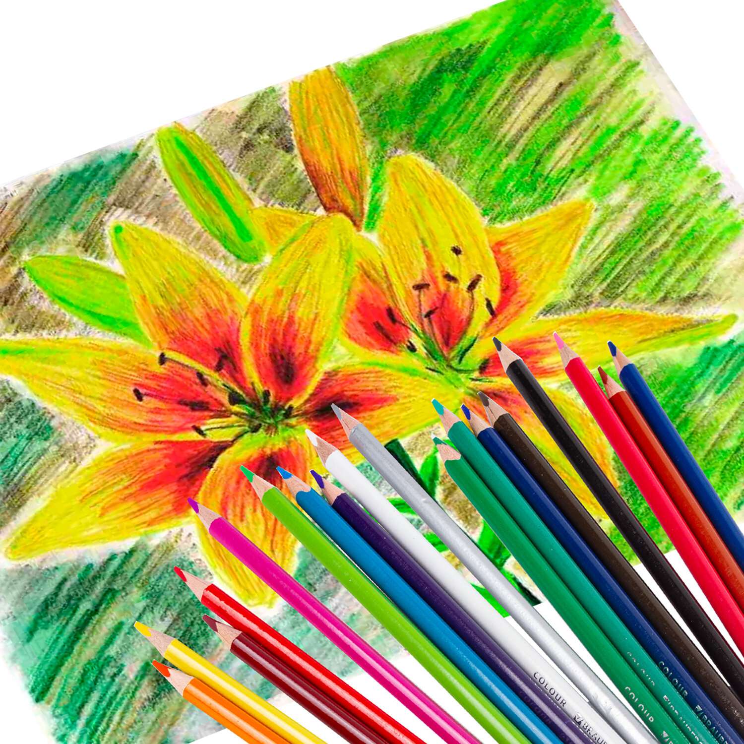 Карандаши цветные Brauberg для рисования набор 18 цветов трехгранные грифель мягкий - фото 14