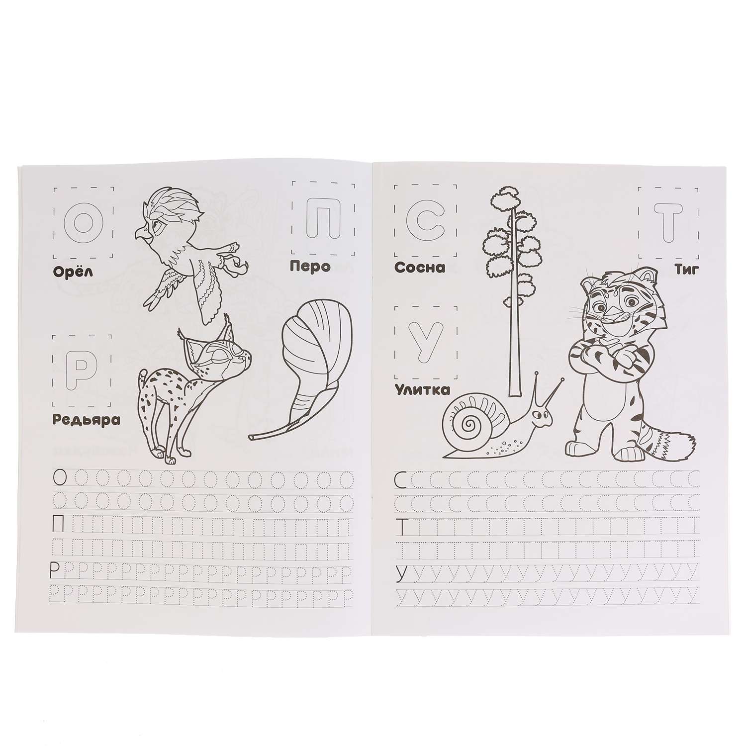 Раскраска УМка Учим азбуку и цифры Лео и Тиг с наклейками 248766 - фото 3
