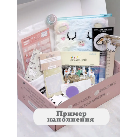 Подарочный бокс для девочки iLikeGift Лама