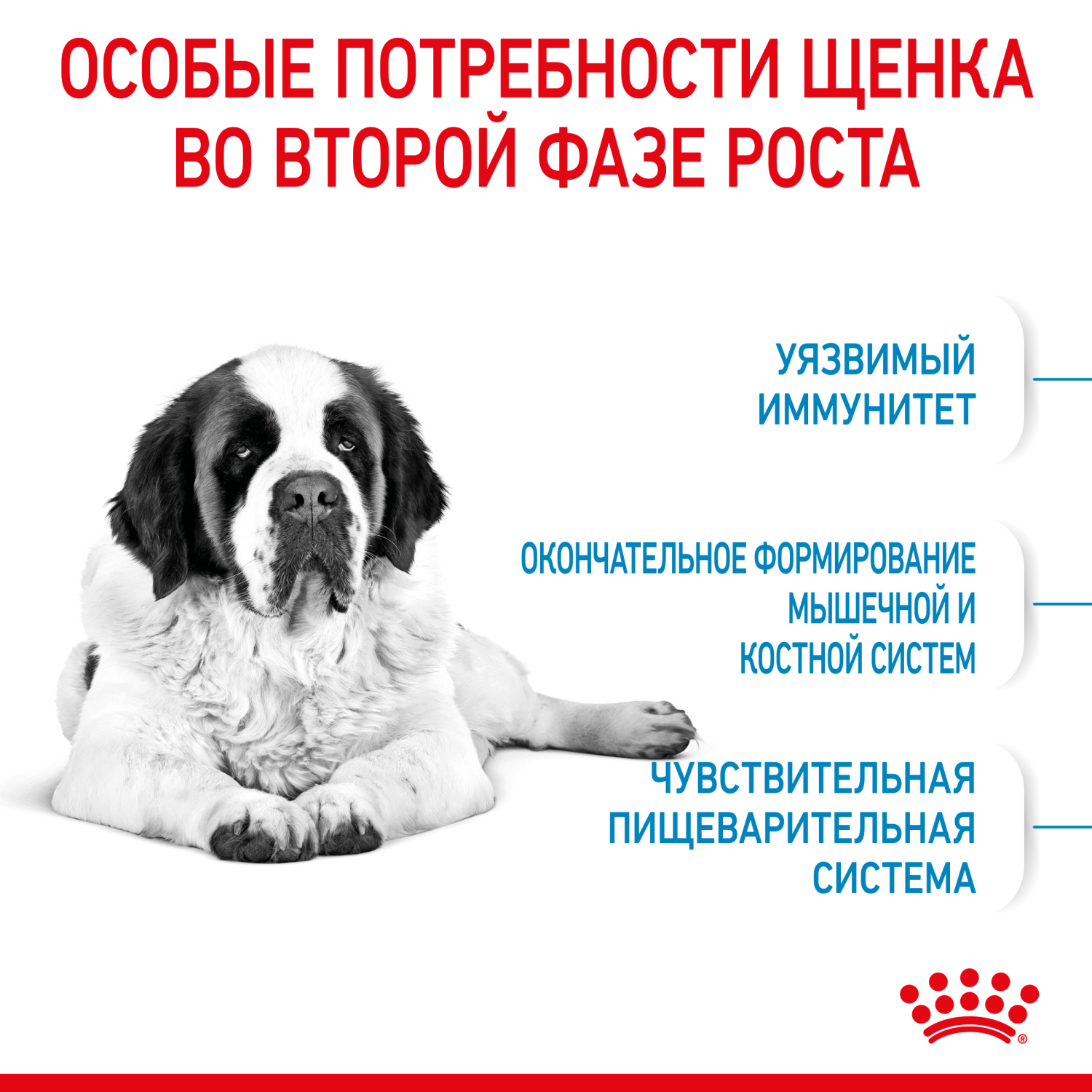 Сухой корм для собак ROYAL CANIN Junior 3.5 кг птица (полнорационный) - фото 5