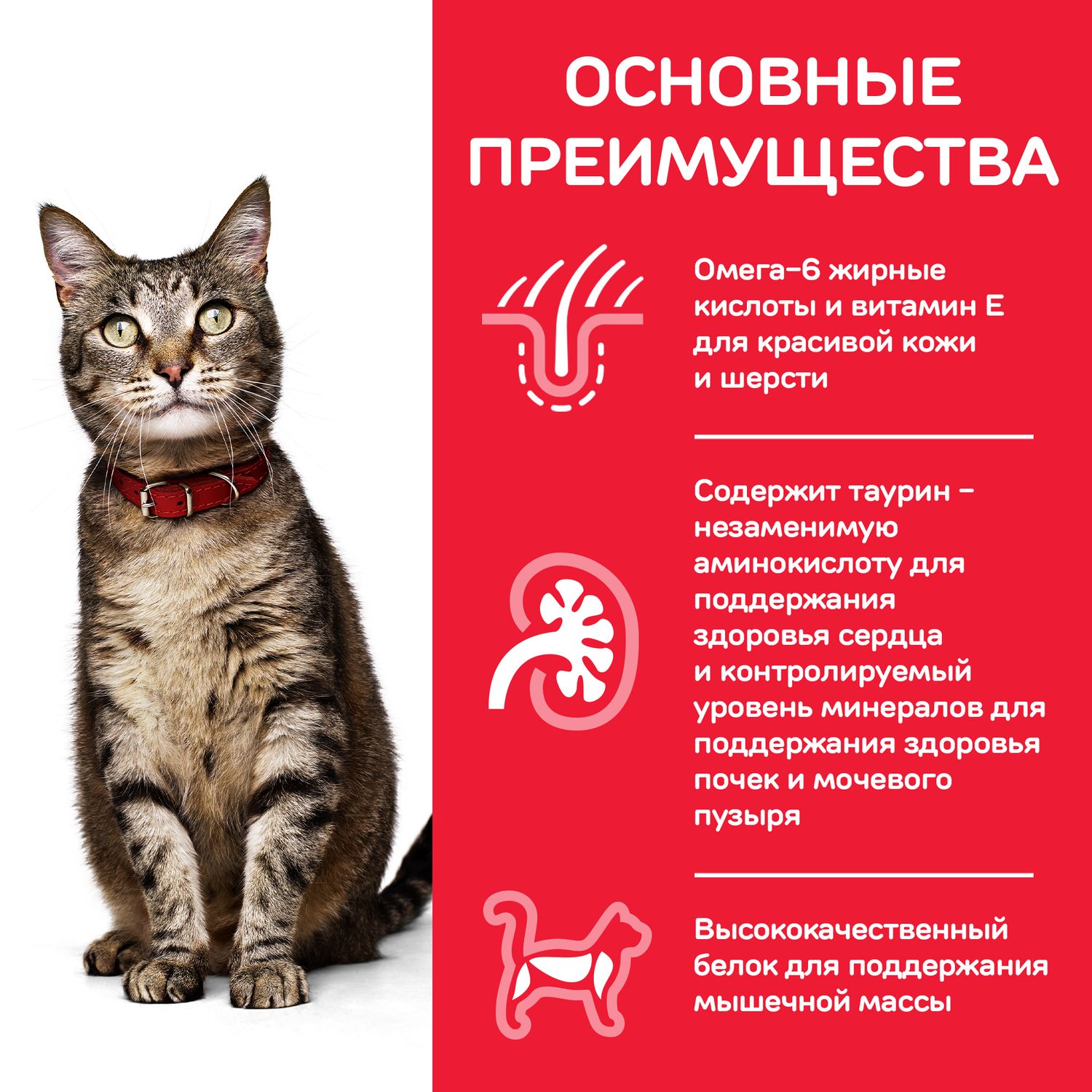 Корм сухой для кошек HILLS 3кг Science Plan с курицей - фото 5