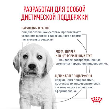 Корм для щенков ROYAL CANIN Gastro Intestinal Junior GIJ29 при нарушениях пищеварения 1кг