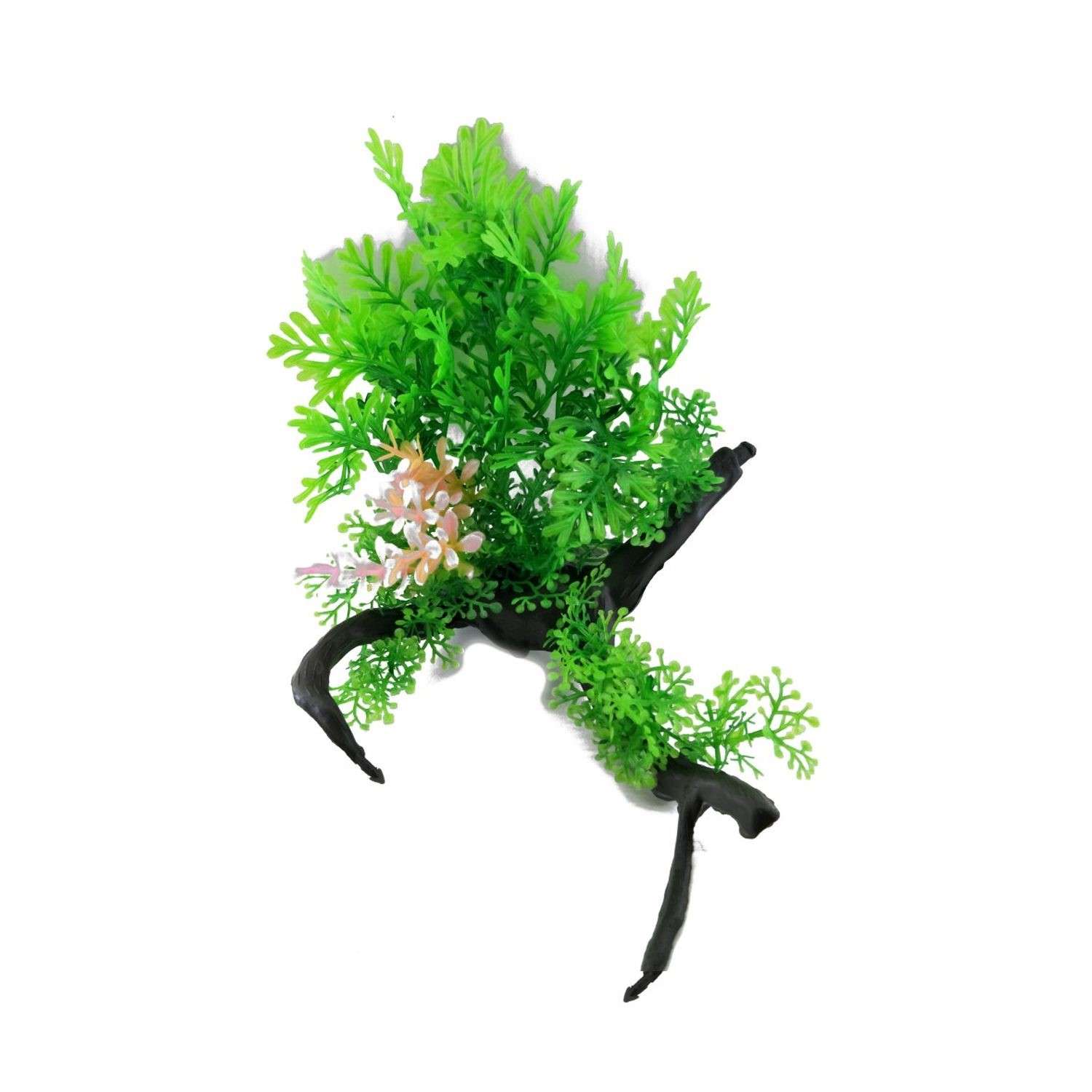 Аквариумное растение Rabizy с корягой 12х10 см - фото 2