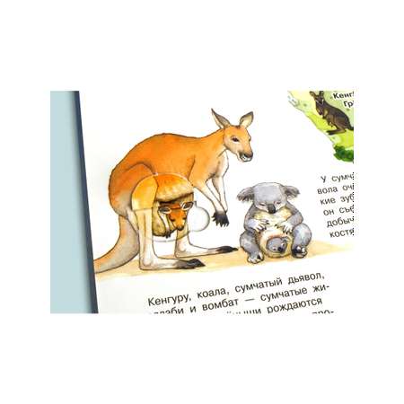 Книга Омега-Пресс Энциклопедия для детей с окошками Что? Почему? Зачем? Мой первый атлас животных
