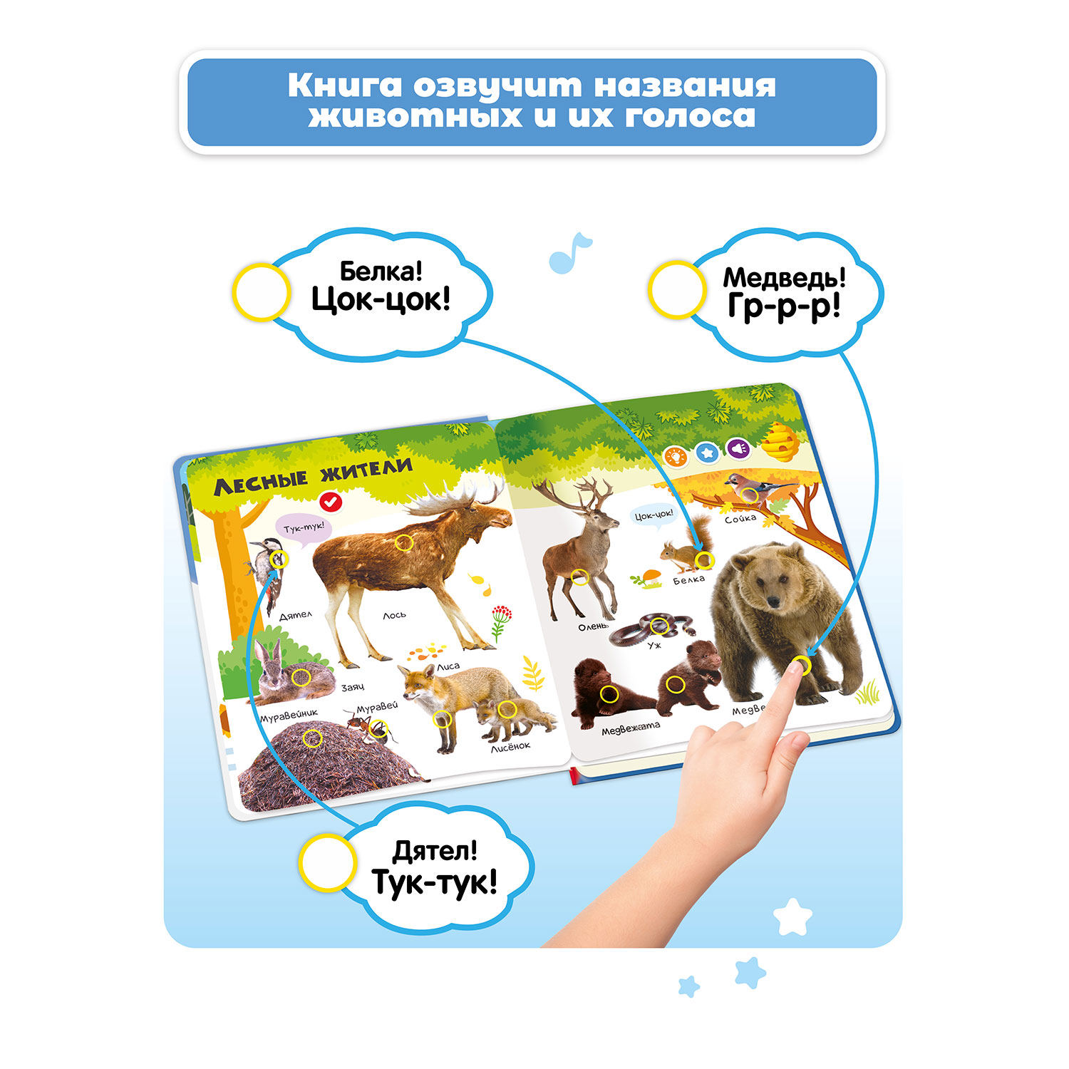 Говорящая книга BertToys Нажималка Животные + Цвета - фото 4