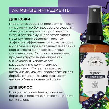 Гидролат Siberina натуральный «Чёрной смородины» для тела и волос 50 мл