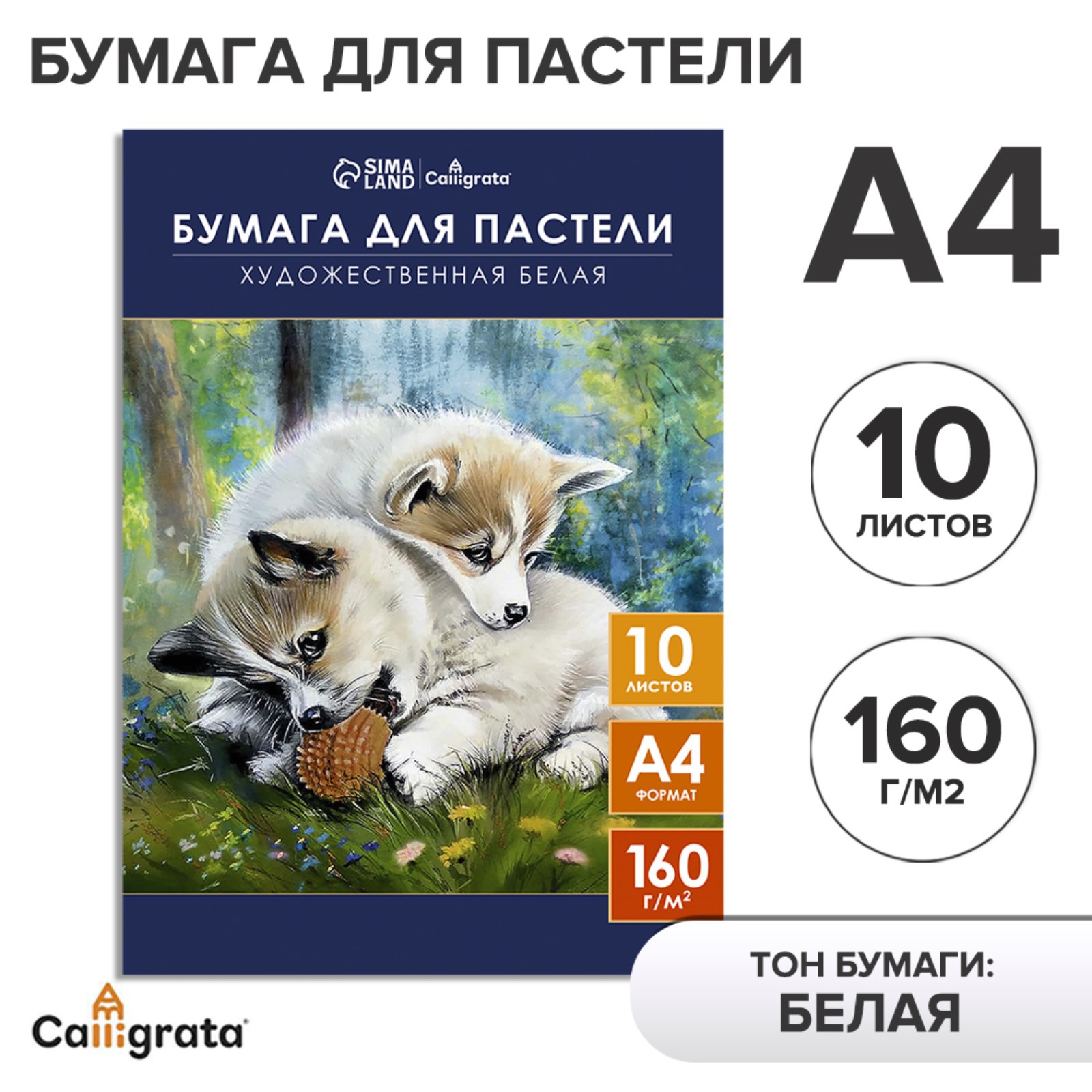 Бумага для пастели А4 Calligrata 10 листов «Щенки» блок 160 г/м2 в папке - фото 2