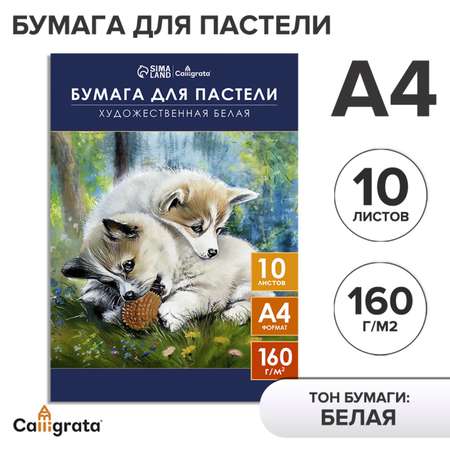 Бумага для пастели А4 Calligrata 10 листов «Щенки» блок 160 г/м2 в папке