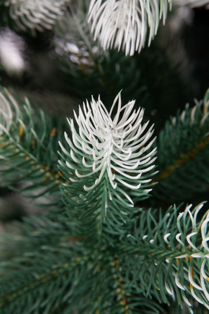 Елка Crystal Trees Сосна Швейцарская Снежная 150 См. - фото 2