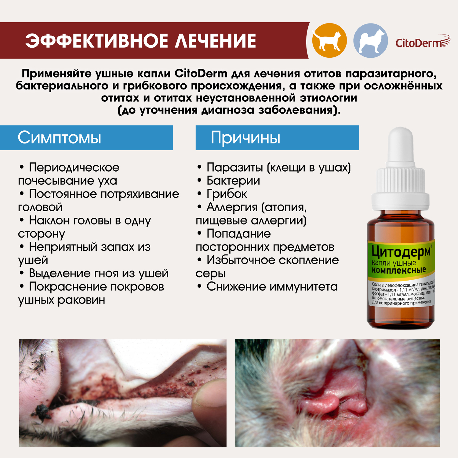 Капли ушные для животных CitoDerm комплексные 10мл купить по цене 663 ₽ с  доставкой в Москве и России, отзывы, фото