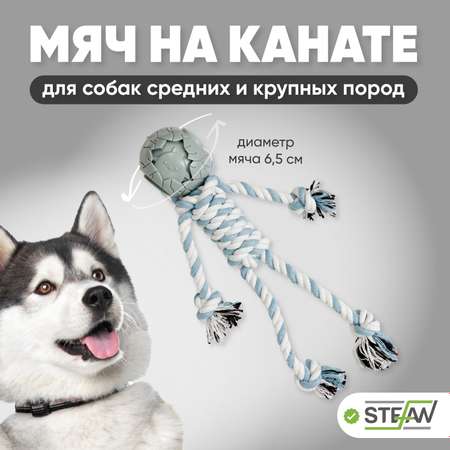 Игрушка для собак Stefan мяч на канате Человечек размер 6.5х32х34
