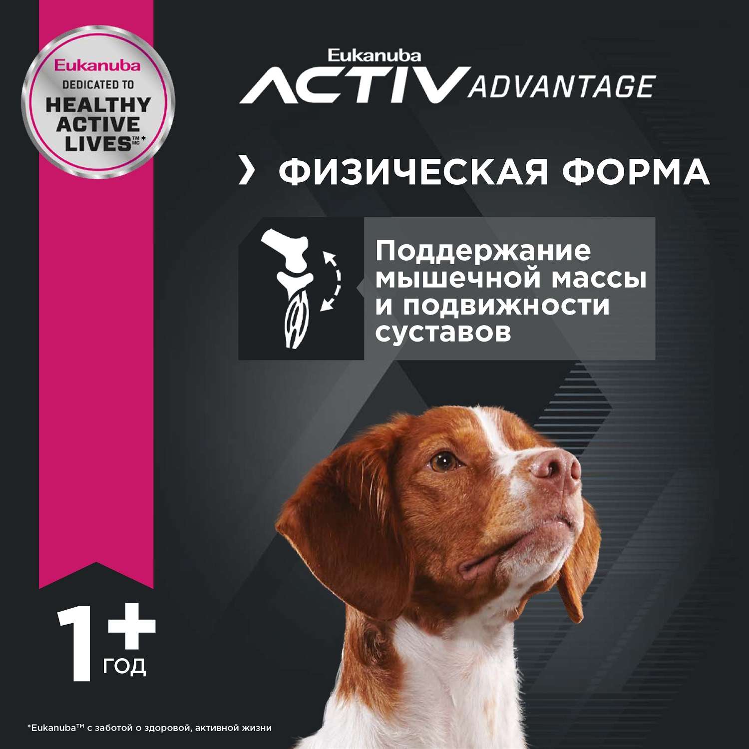 Корм Eukanuba Dog 3кг для взрослых собак средних пород сухой - фото 6