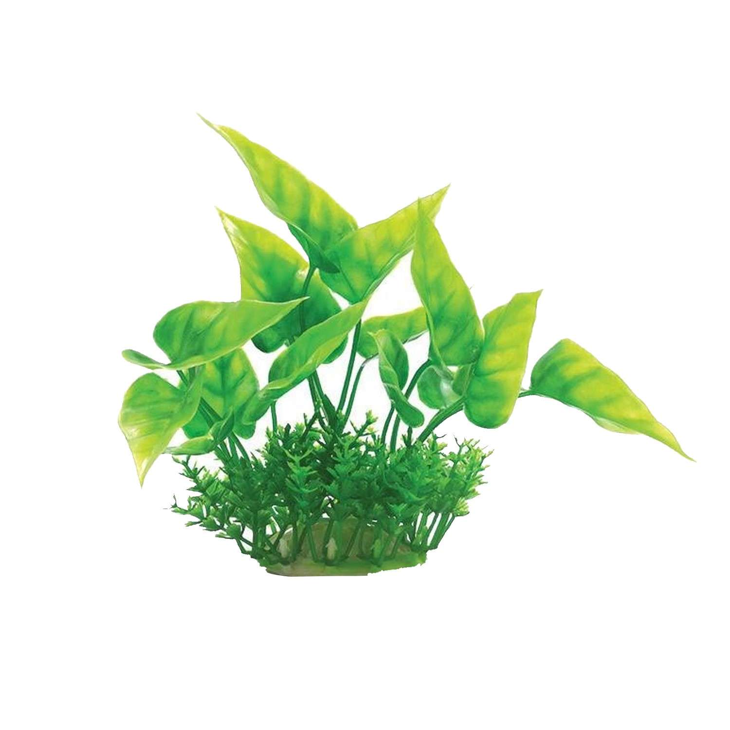 Аквариумное растение Rabizy кустик 8х12 см - фото 2