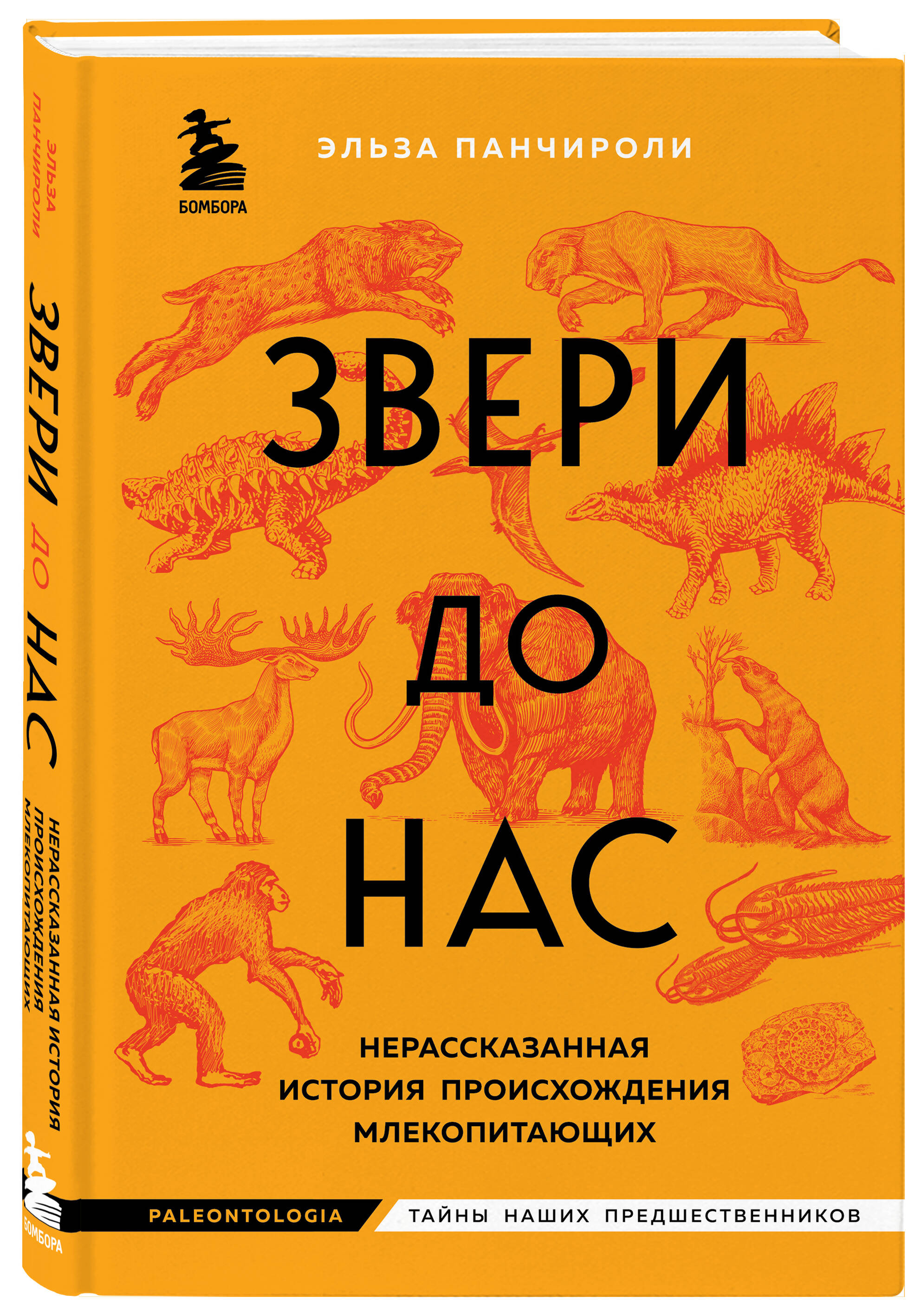 Книга ЭКСМО-ПРЕСС Звери до нас Нерассказанная история происхождения  млекопитающих купить по цене 856 ₽ в интернет-магазине Детский мир