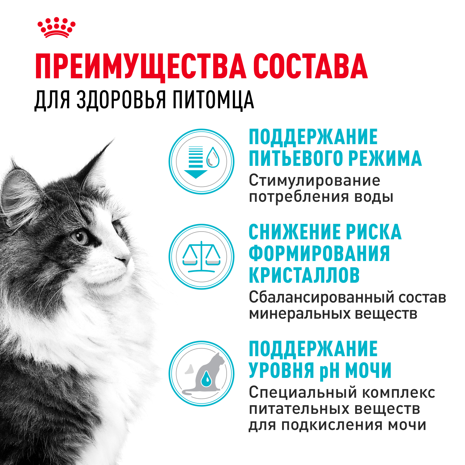 Корм сухой для кошек ROYAL CANIN Urinary Care 400г для профилактики мочекаменной болезни - фото 3