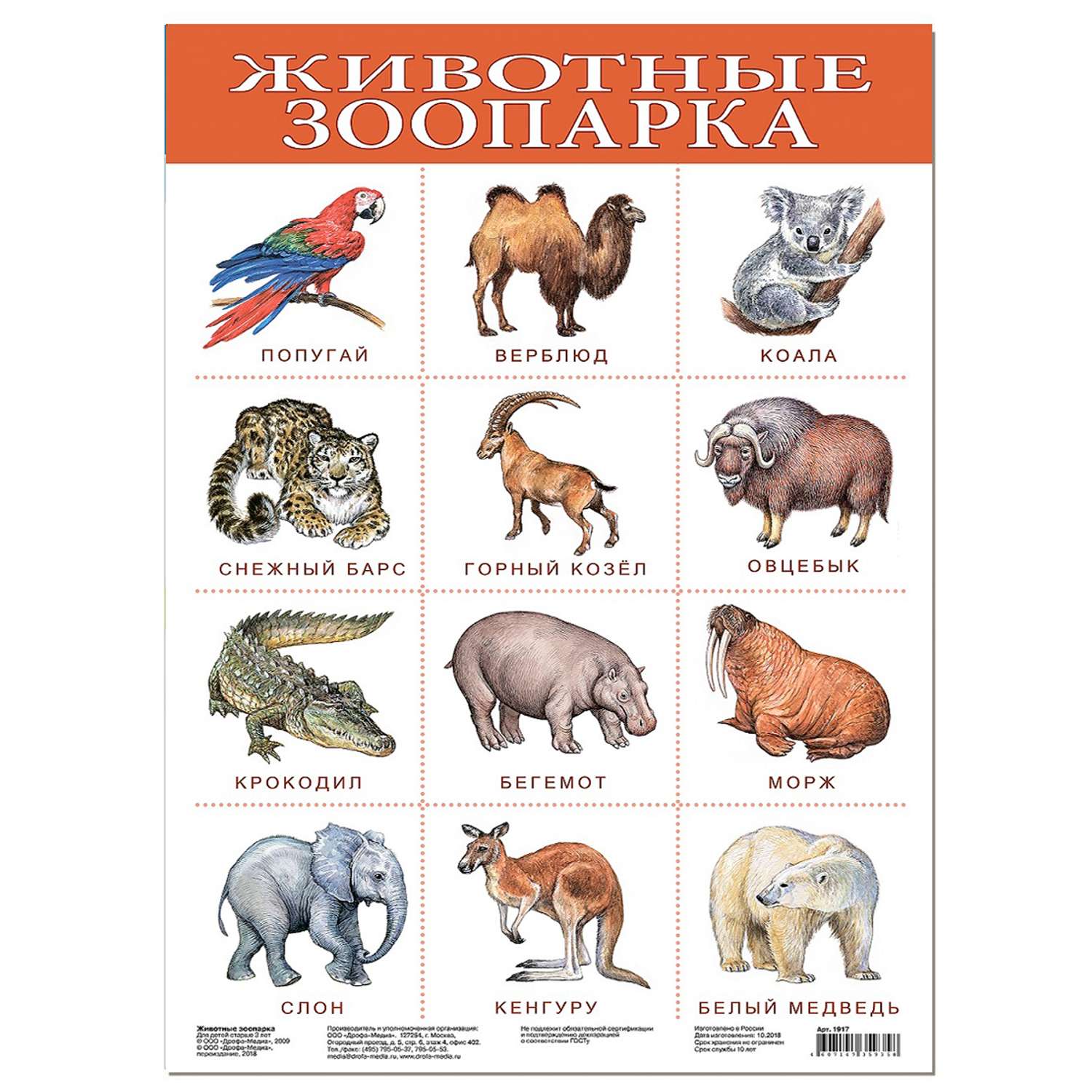 Д и назови животное. Животные названия. Плакат с животными. Плакат животные зоопарка. Животные КС названиями.