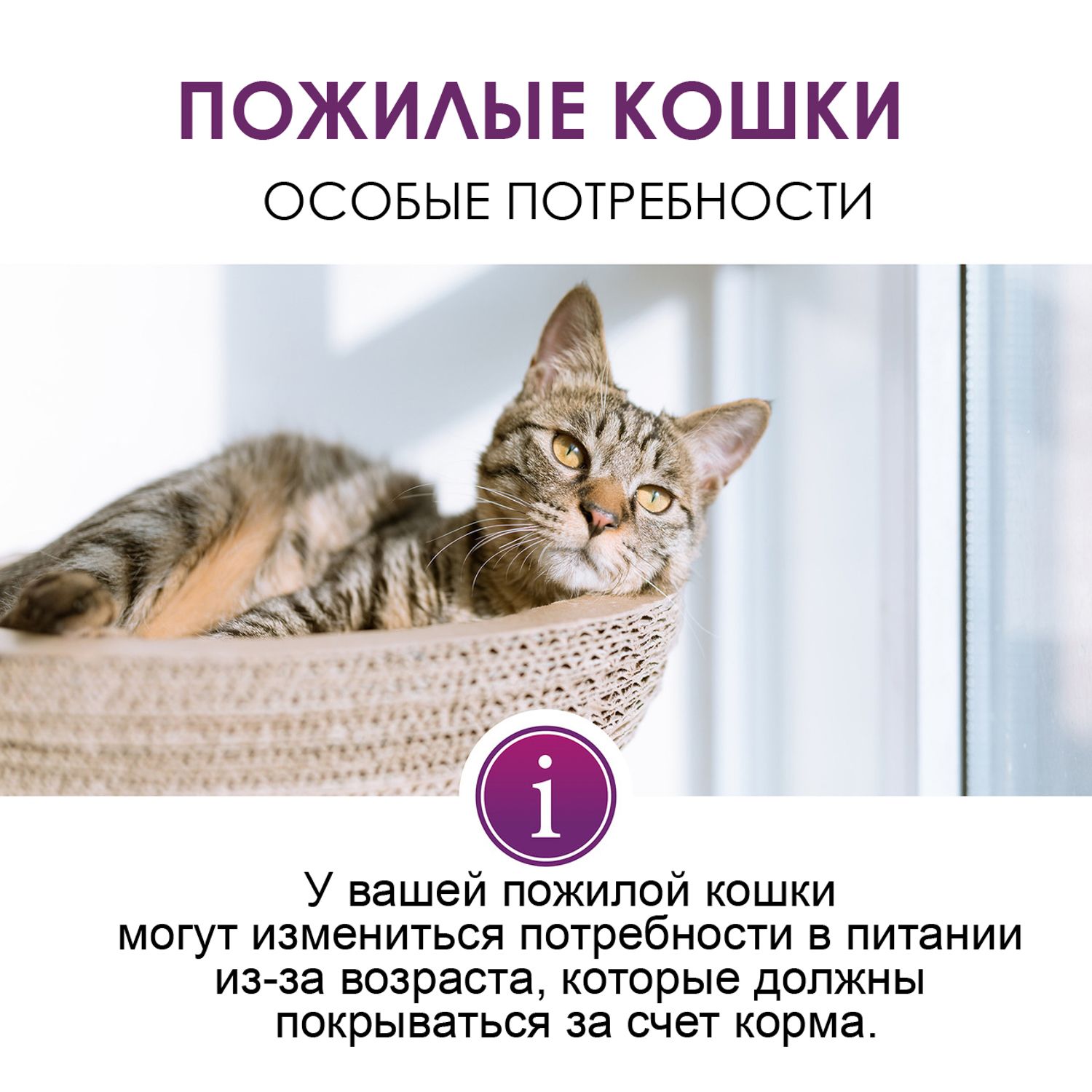 Паста для кошек Gimcat Expert line Сеньор 50г - фото 8