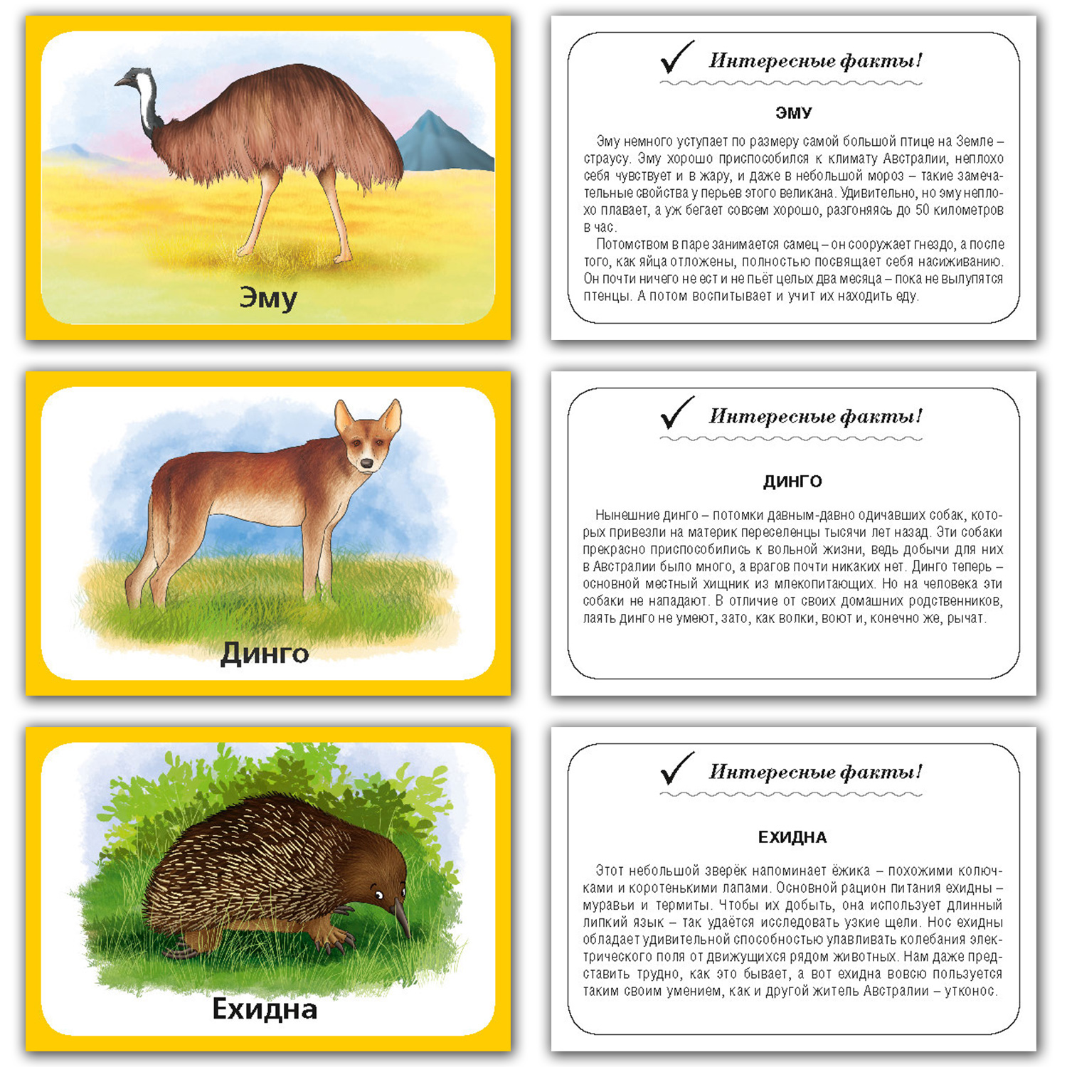 Набор карточек развивающих РУЗ Ко Животные Африки и Австралии - фото 4