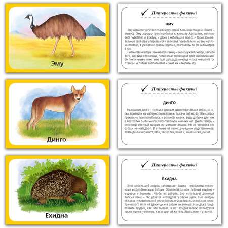 Набор карточек развивающих РУЗ Ко Животные Африки и Австралии