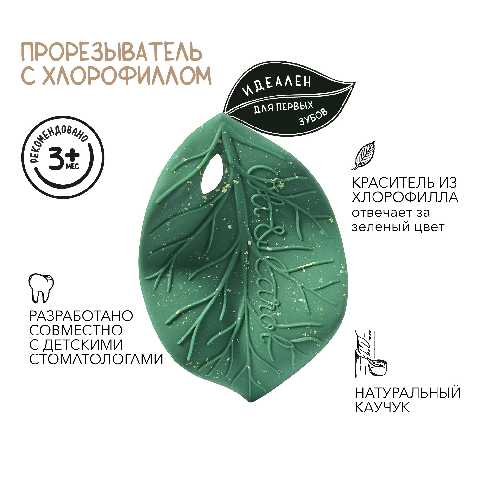 Прорезыватель OLI and CAROL Chlorophyll Leaf - фото 2