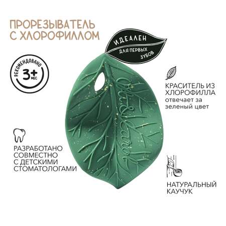 Прорезыватель OLI and CAROL Chlorophyll Leaf