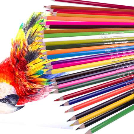 Карандаши цветные Brauberg художественные для рисования 50 цветов с мягким грифелем