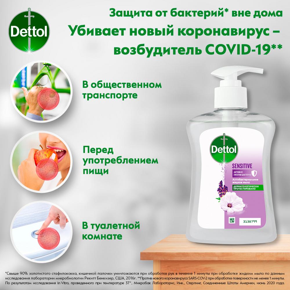 Мыло для рук Dettol антибактериальное жидкое для чувствительной кожи с  глицерином 250 мл купить по цене 259 ₽ в интернет-магазине Детский мир