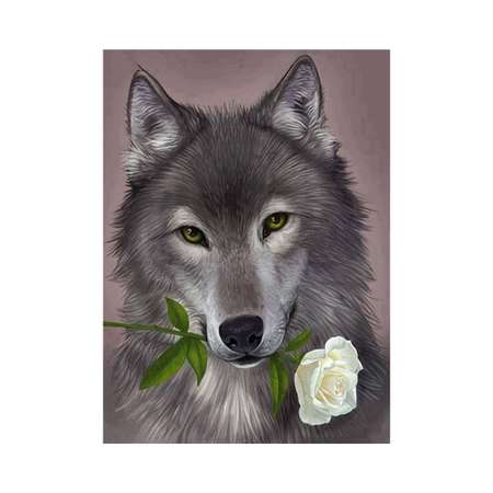 Алмазная мозаика Seichi Волк с белой розой 30х40 см