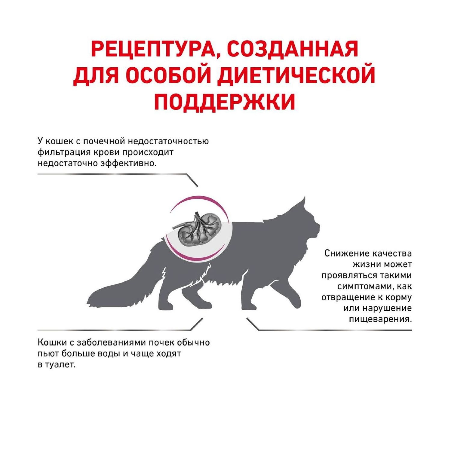 Корм для кошек ROYAL CANIN Renal Select при хронической почечной недостаточности 2кг - фото 3