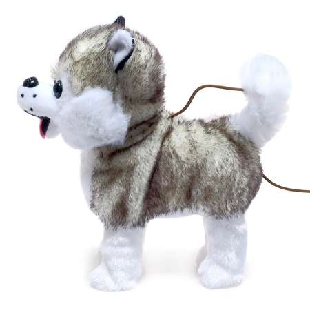 Интерактивная игрушка Sima-Land собака «Мой хаски» ходит лает поёт песенку виляет хвостиком