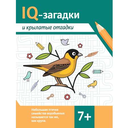 Книга развивающая IQ-загадки в ассортименте