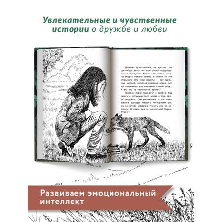 Книга Феникс Премьер Бегущие по кромке леса. Книга про любовь к животным