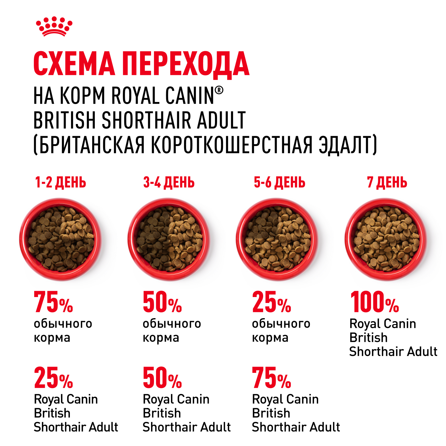 Корм ROYAL CANIN British Shorthair 4 кг для кошек британской короткошерстной породы - фото 8